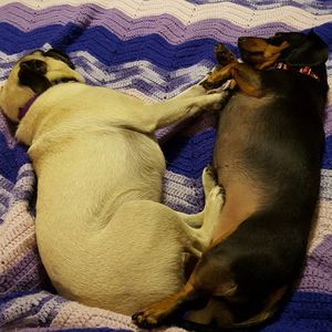 Meet your Posher, Nancy